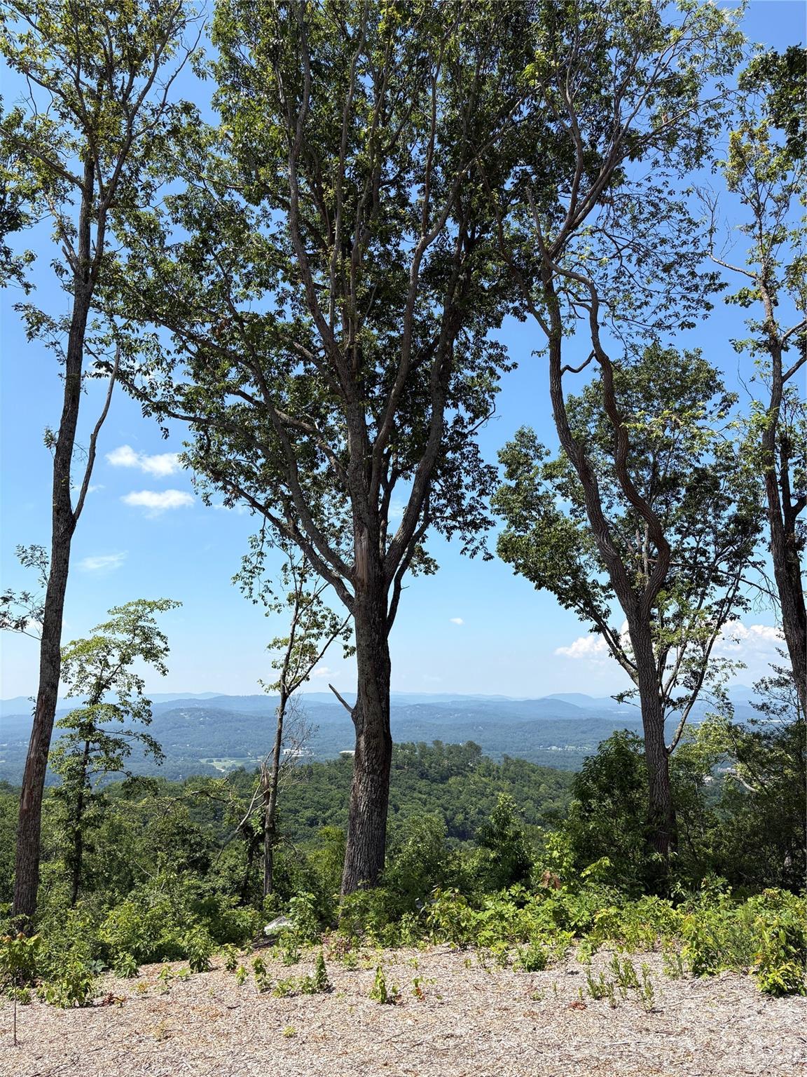 Lot 50 Mountain Grove Lane Fletcher NC 28732