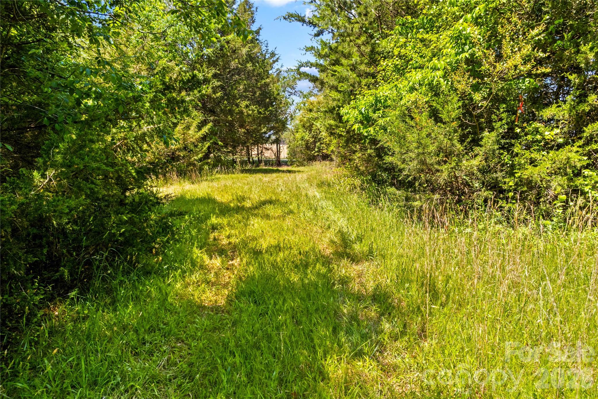 190 Sheffield Road Harmony NC 28634