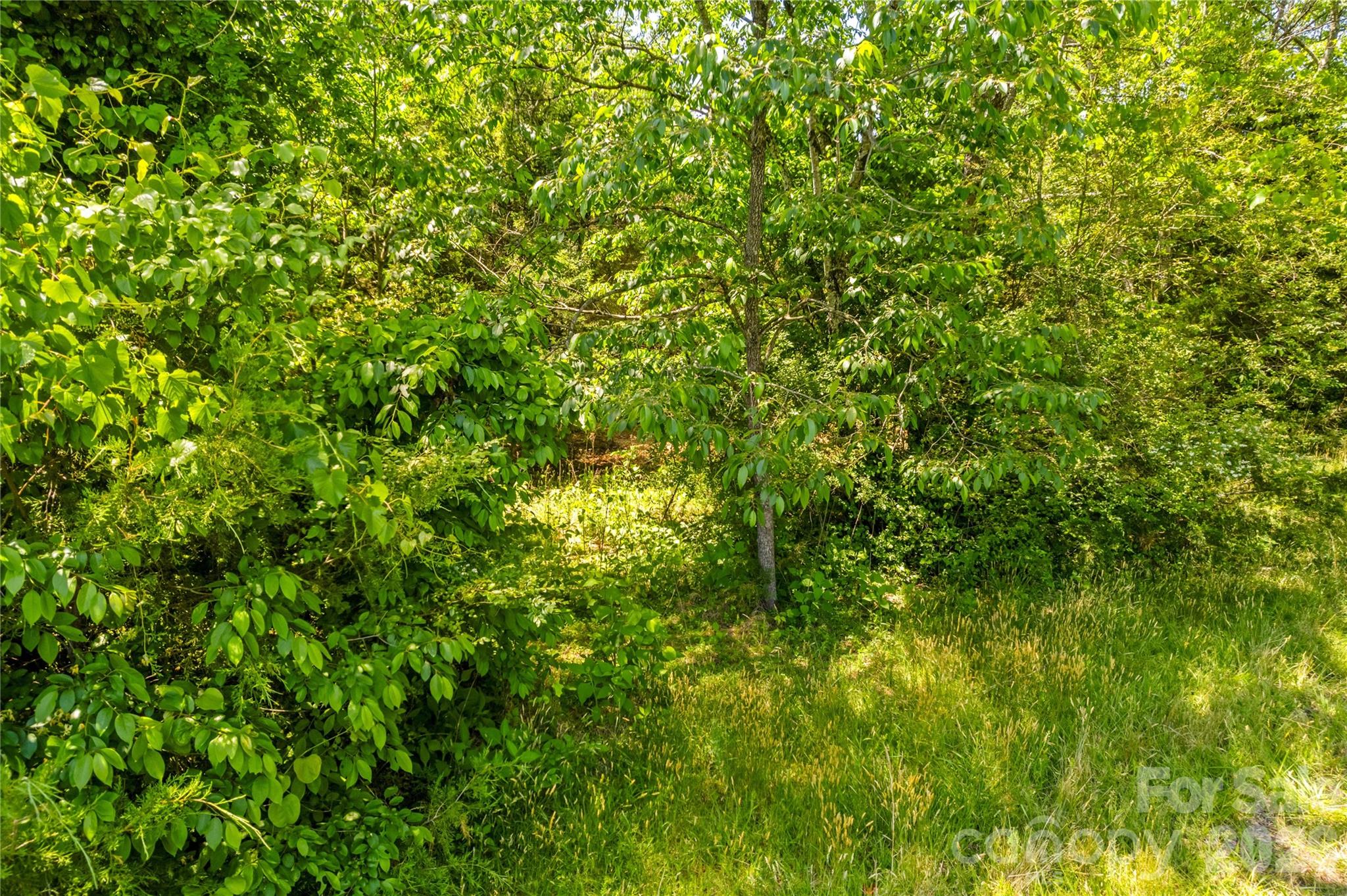 190 Sheffield Road Harmony NC 28634