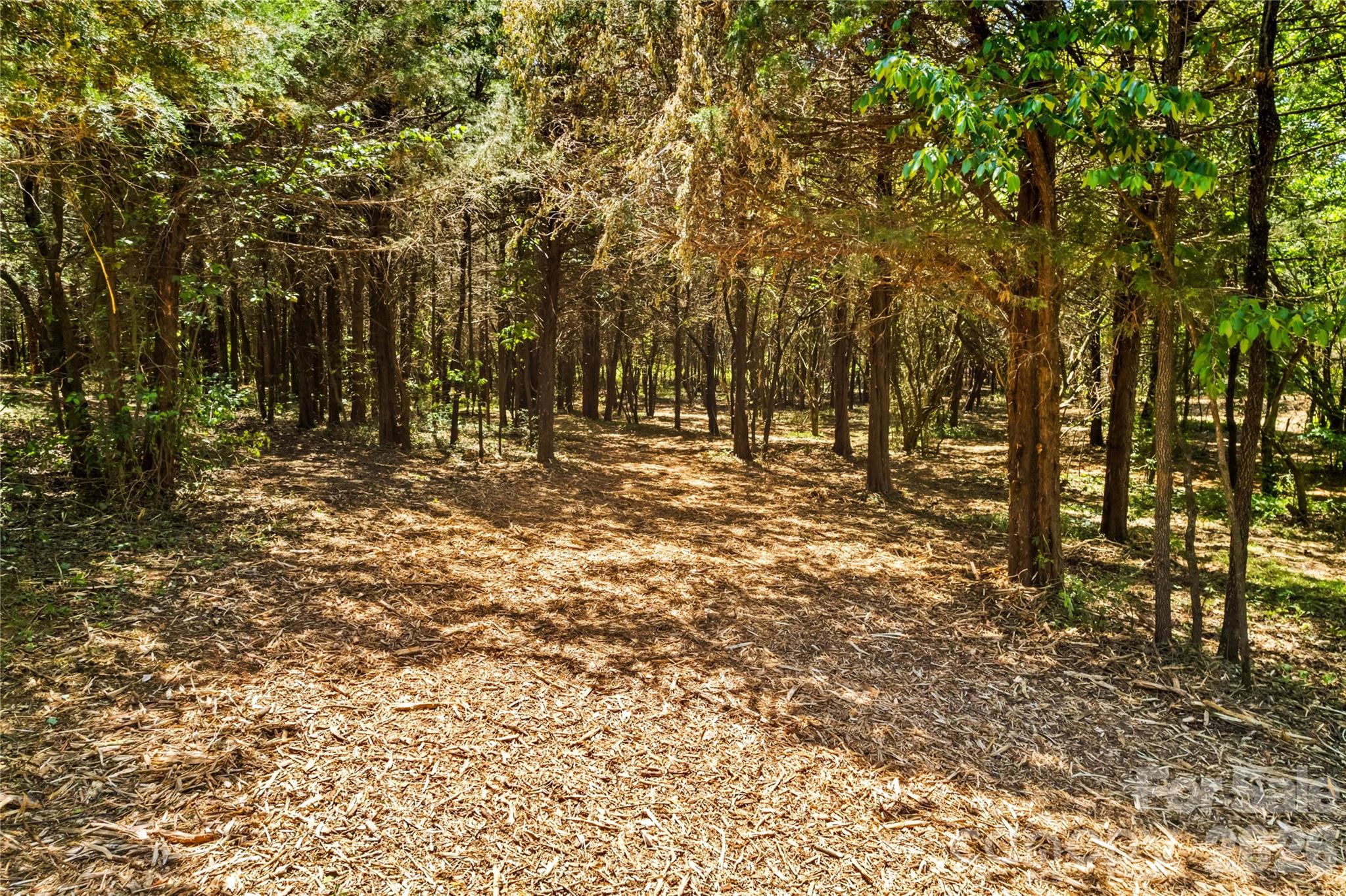 190 Sheffield Road Harmony NC 28634