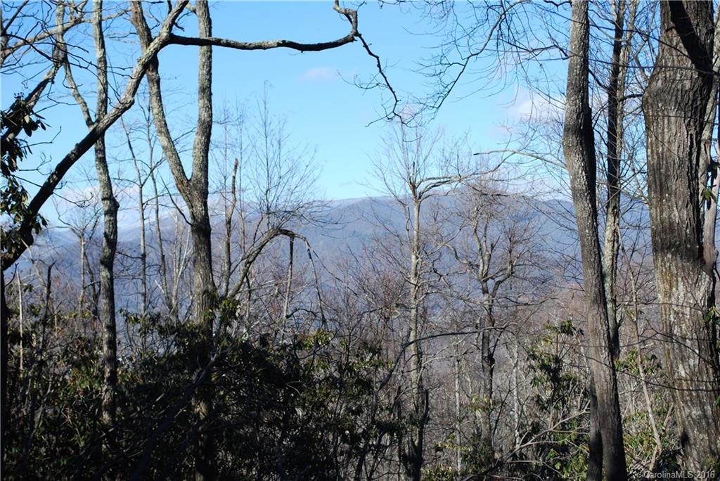 65 Sisters View Drive Black Mountain NC 28711
