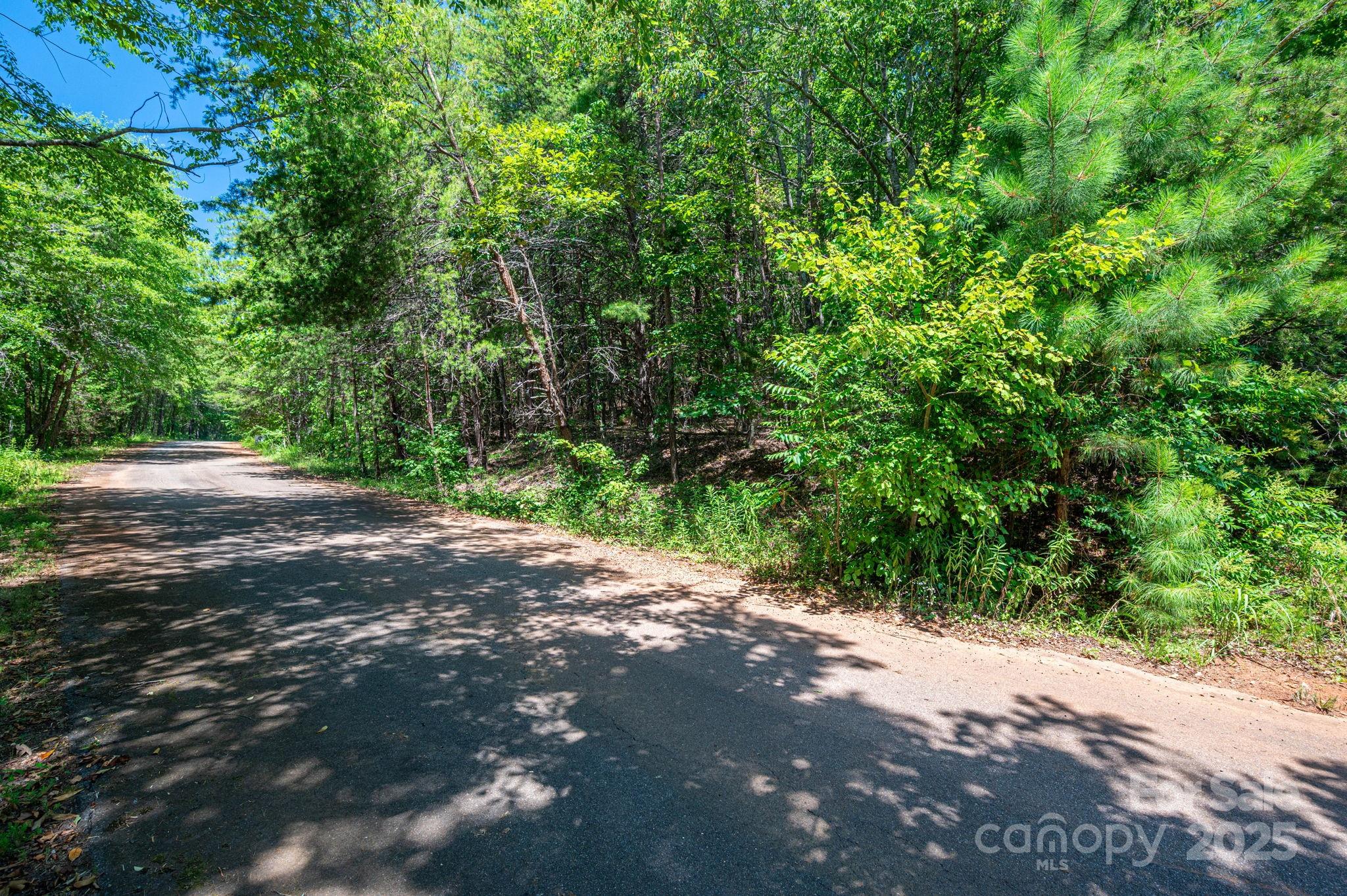 Lot 10 Meadow Crossing Drive Rutherfordton NC 28139