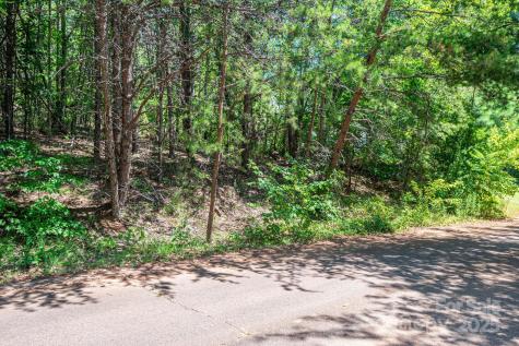 Lot 10 Meadow Crossing Drive Rutherfordton NC 28139