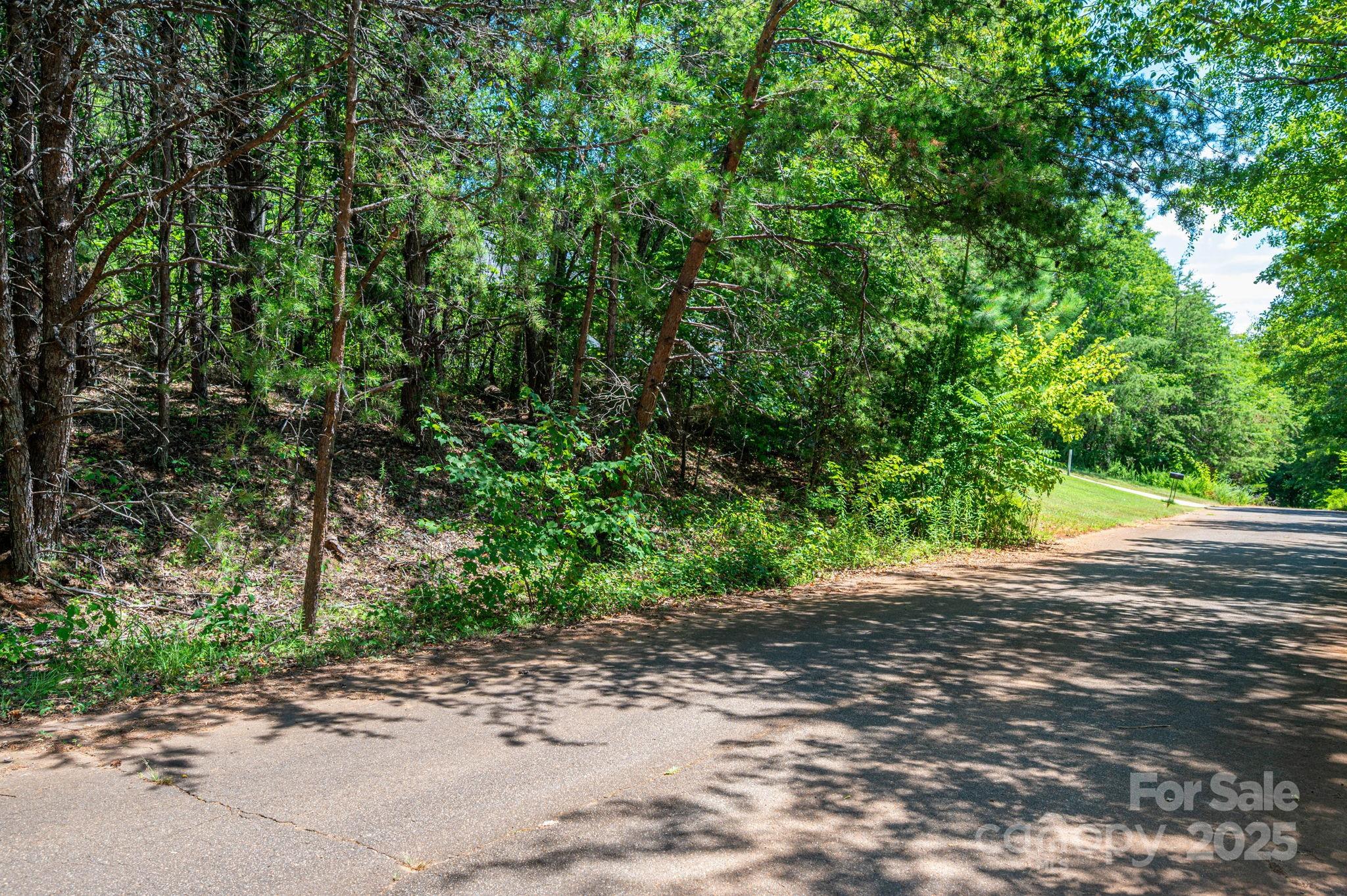Lot 10 Meadow Crossing Drive Rutherfordton NC 28139