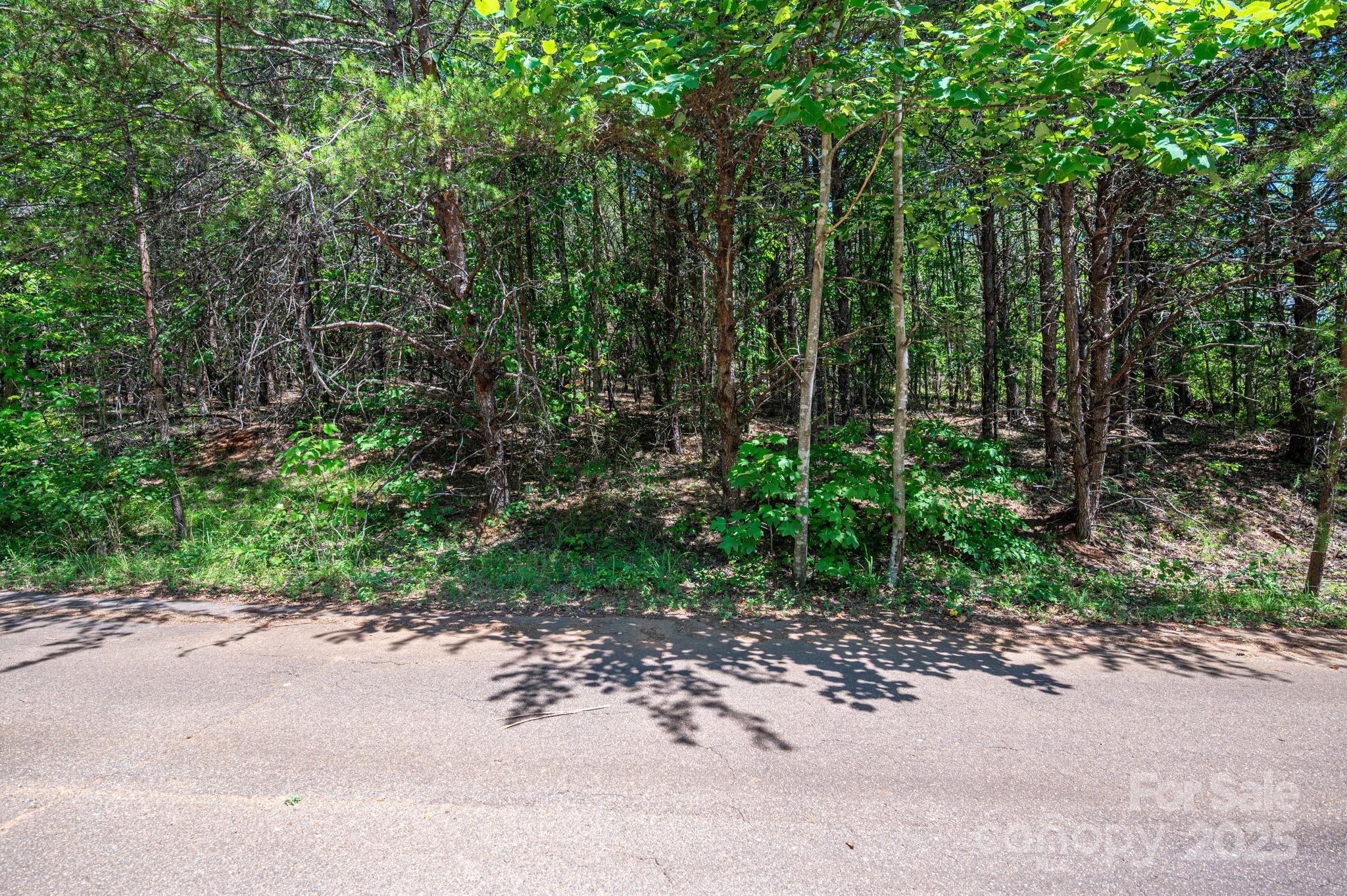 Lot 10 Meadow Crossing Drive Rutherfordton NC 28139