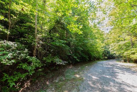 9999 Arrowhead Trail Columbus NC 28722