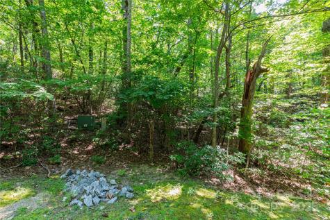 9999 Arrowhead Trail Columbus NC 28722