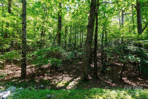 9999 Arrowhead Trail Columbus NC 28722