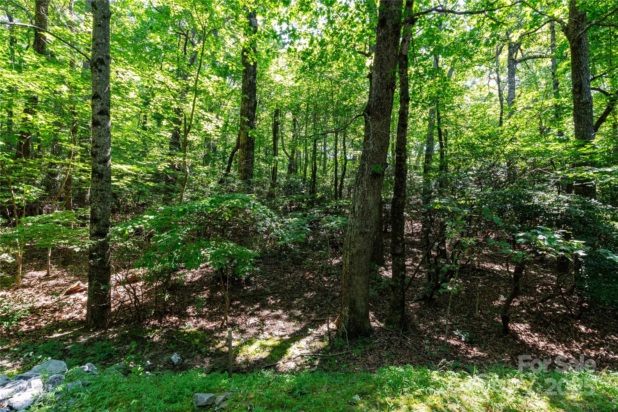 9999 Arrowhead Trail Columbus NC 28722