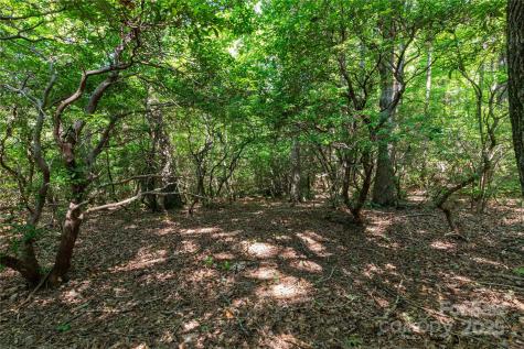 9999 Arrowhead Trail Columbus NC 28722