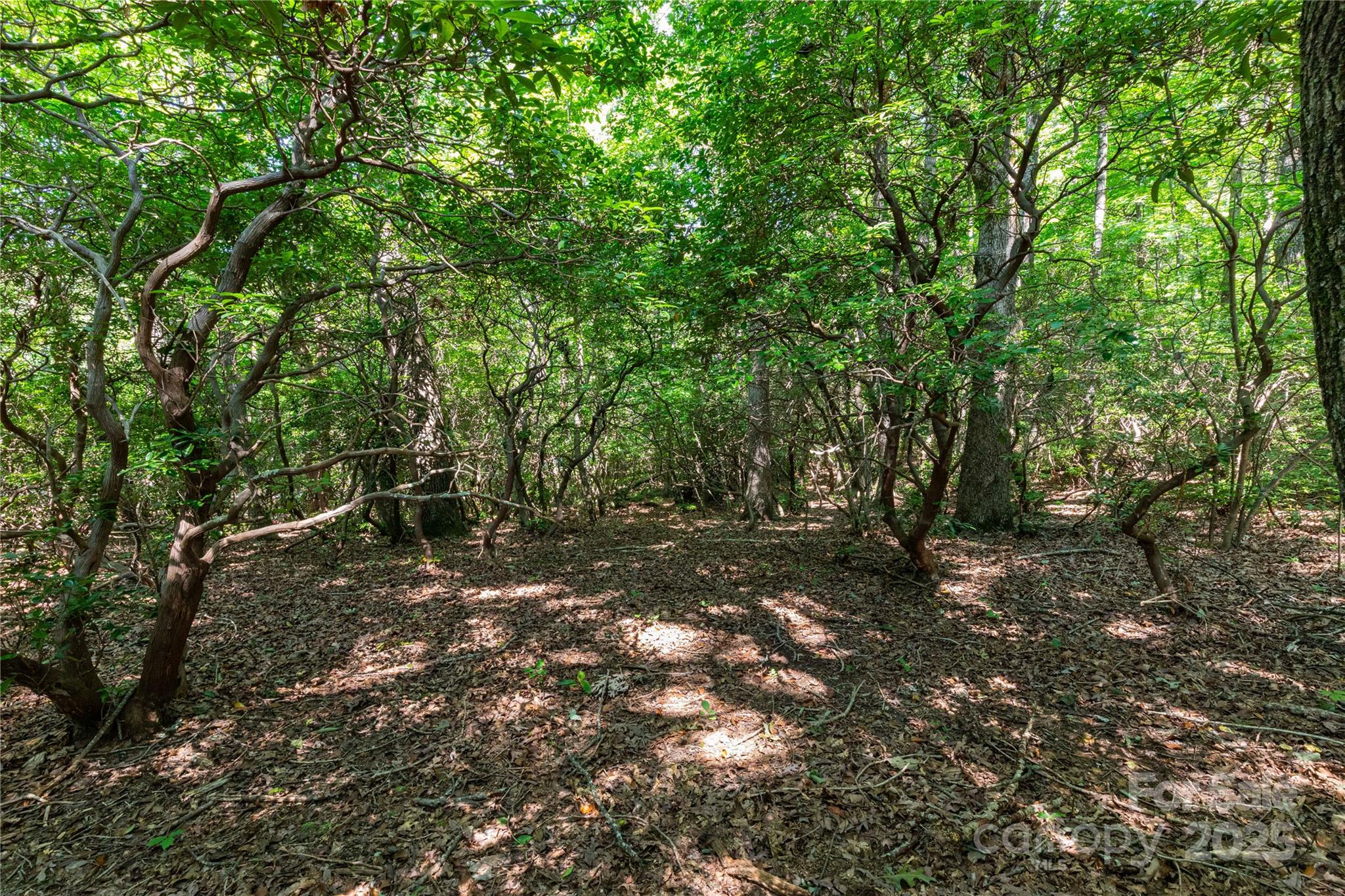 9999 Arrowhead Trail Columbus NC 28722