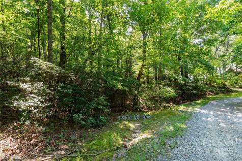 9999 Arrowhead Trail Columbus NC 28722