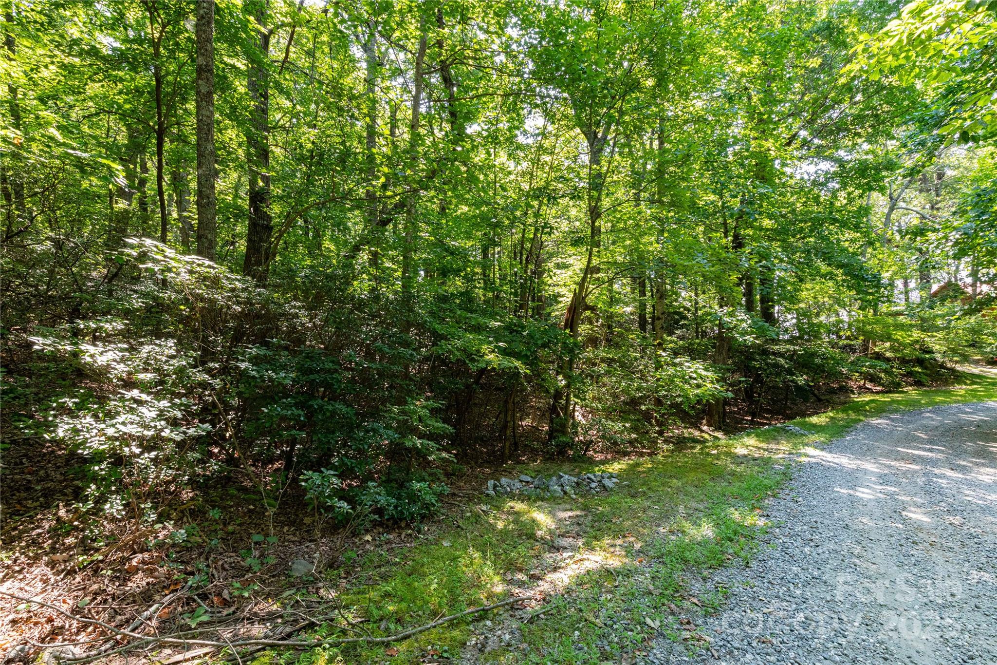 9999 Arrowhead Trail Columbus NC 28722
