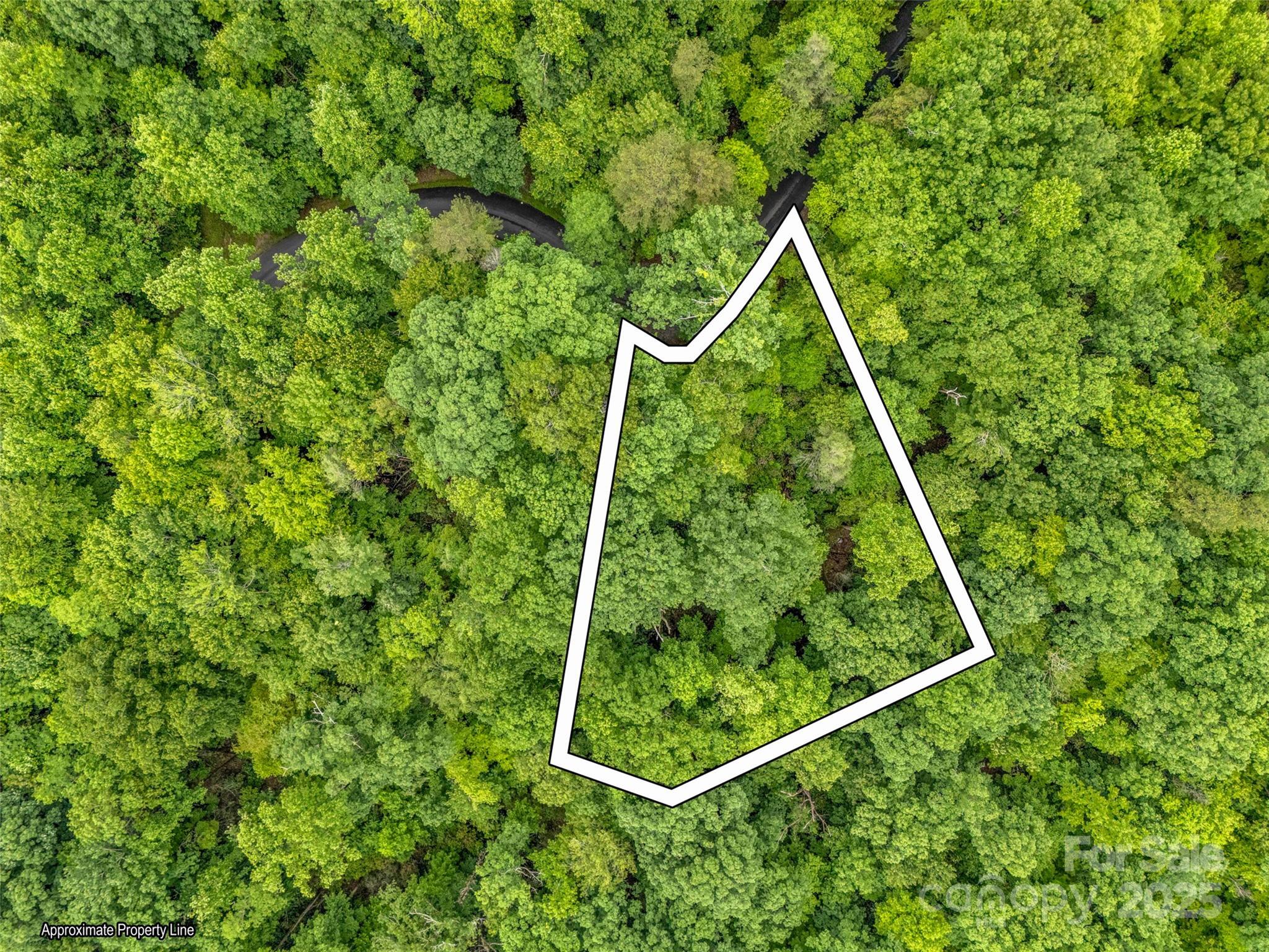 0 Quail Ridge Road Lake Lure NC 28746