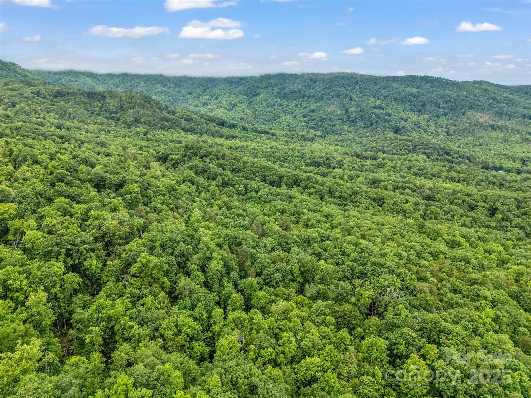 0 Quail Ridge Road Lake Lure NC 28746