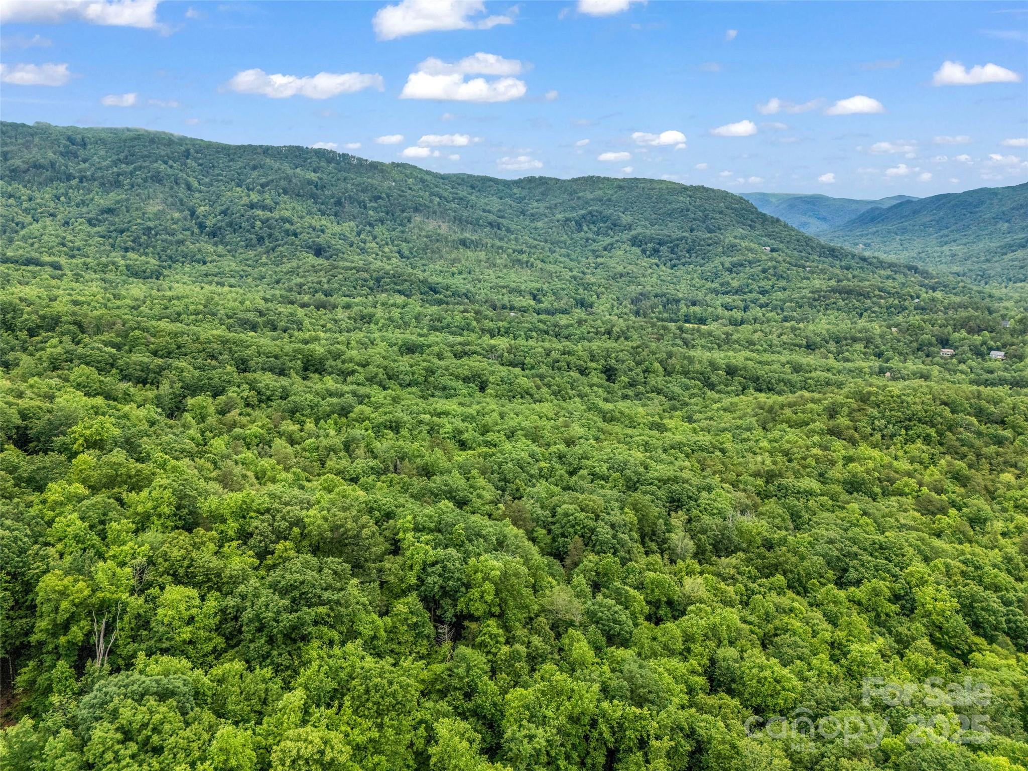 0 Quail Ridge Road Lake Lure NC 28746
