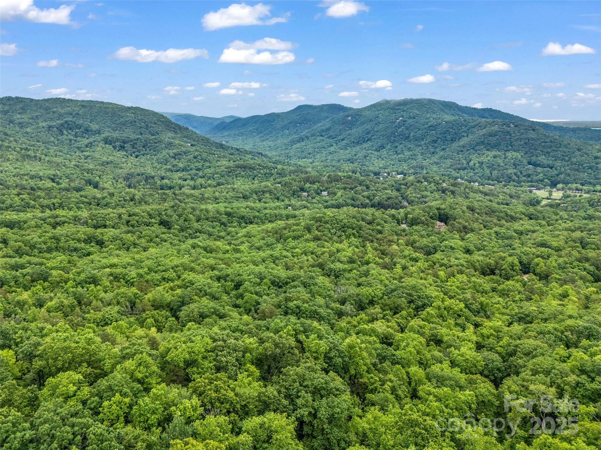 0 Quail Ridge Road Lake Lure NC 28746