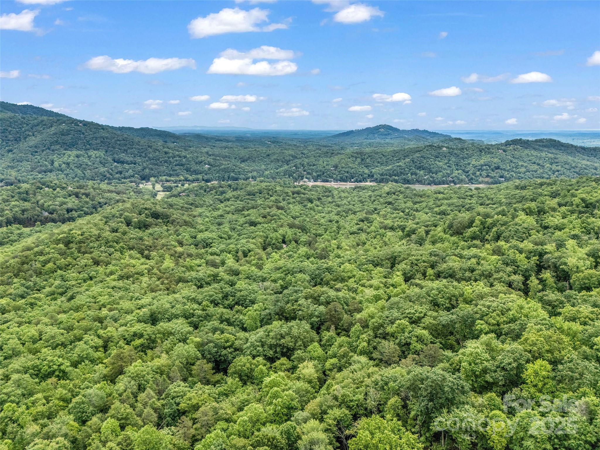 0 Quail Ridge Road Lake Lure NC 28746