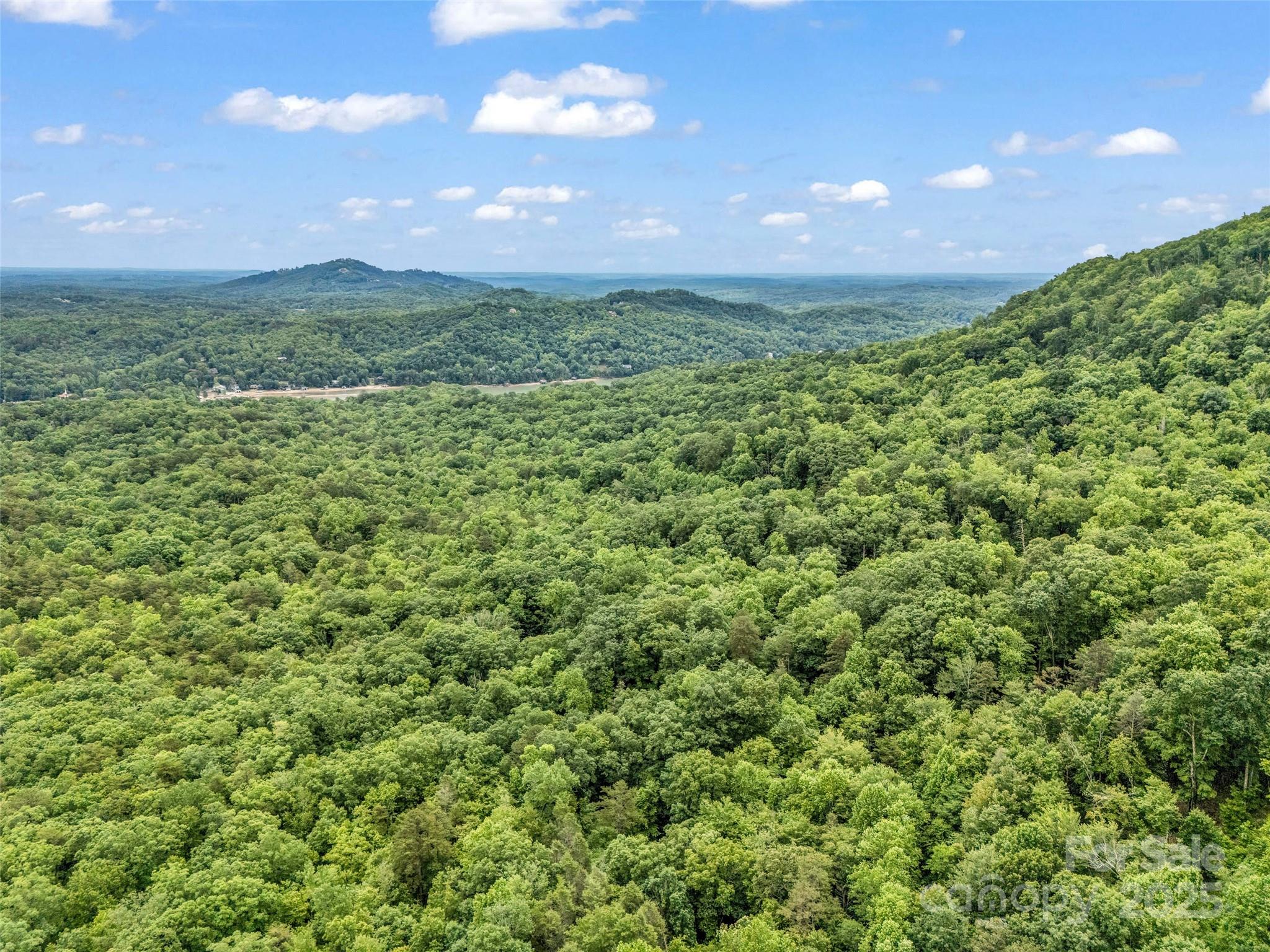 0 Quail Ridge Road Lake Lure NC 28746