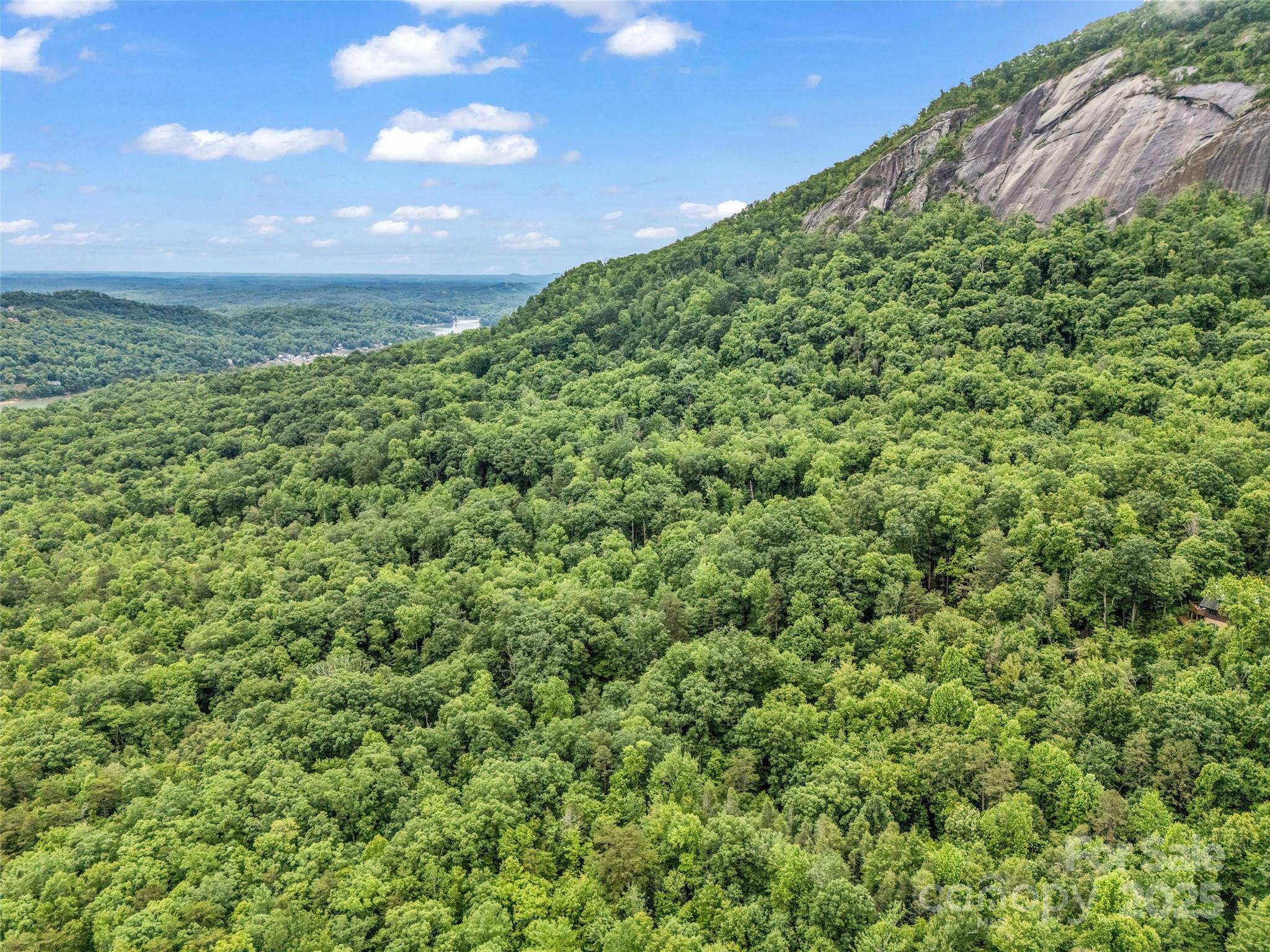 0 Quail Ridge Road Lake Lure NC 28746