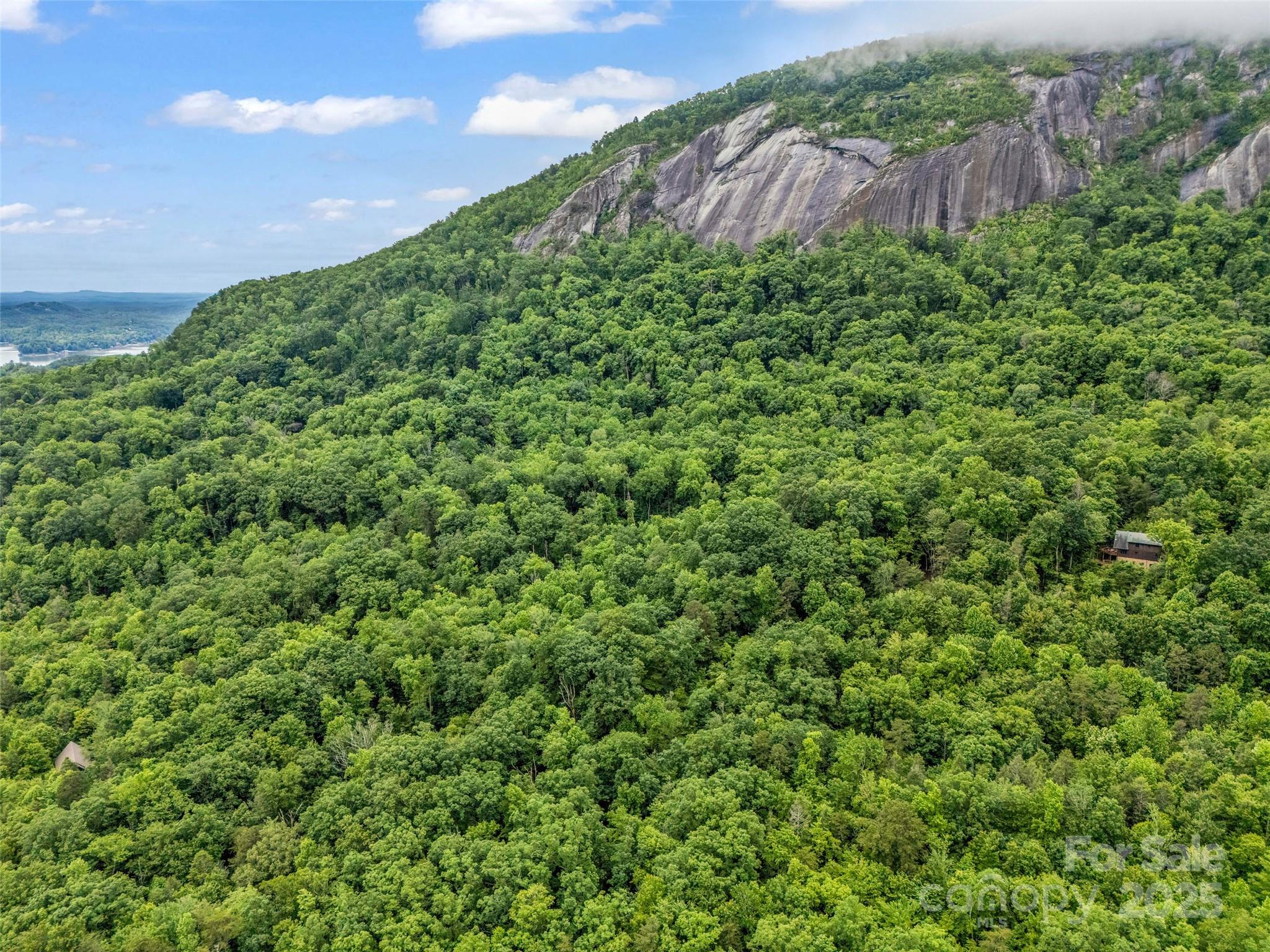 0 Quail Ridge Road Lake Lure NC 28746