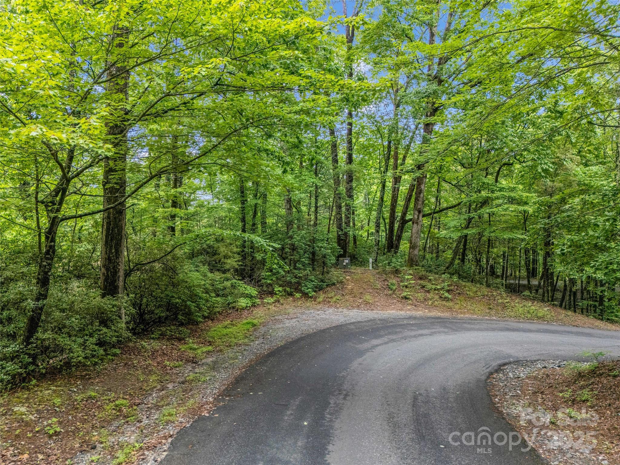 0 Quail Ridge Road Lake Lure NC 28746