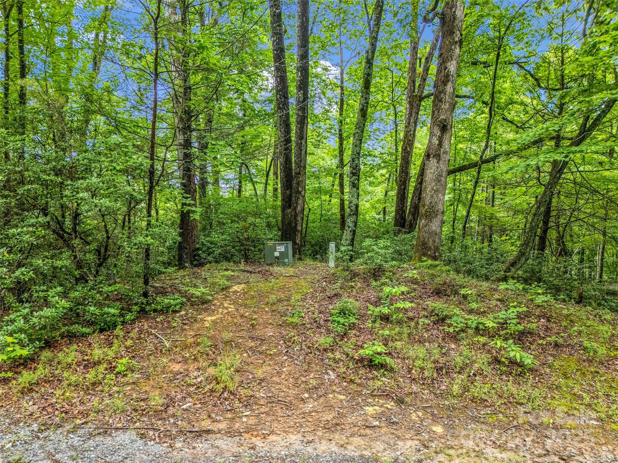 0 Quail Ridge Road Lake Lure NC 28746