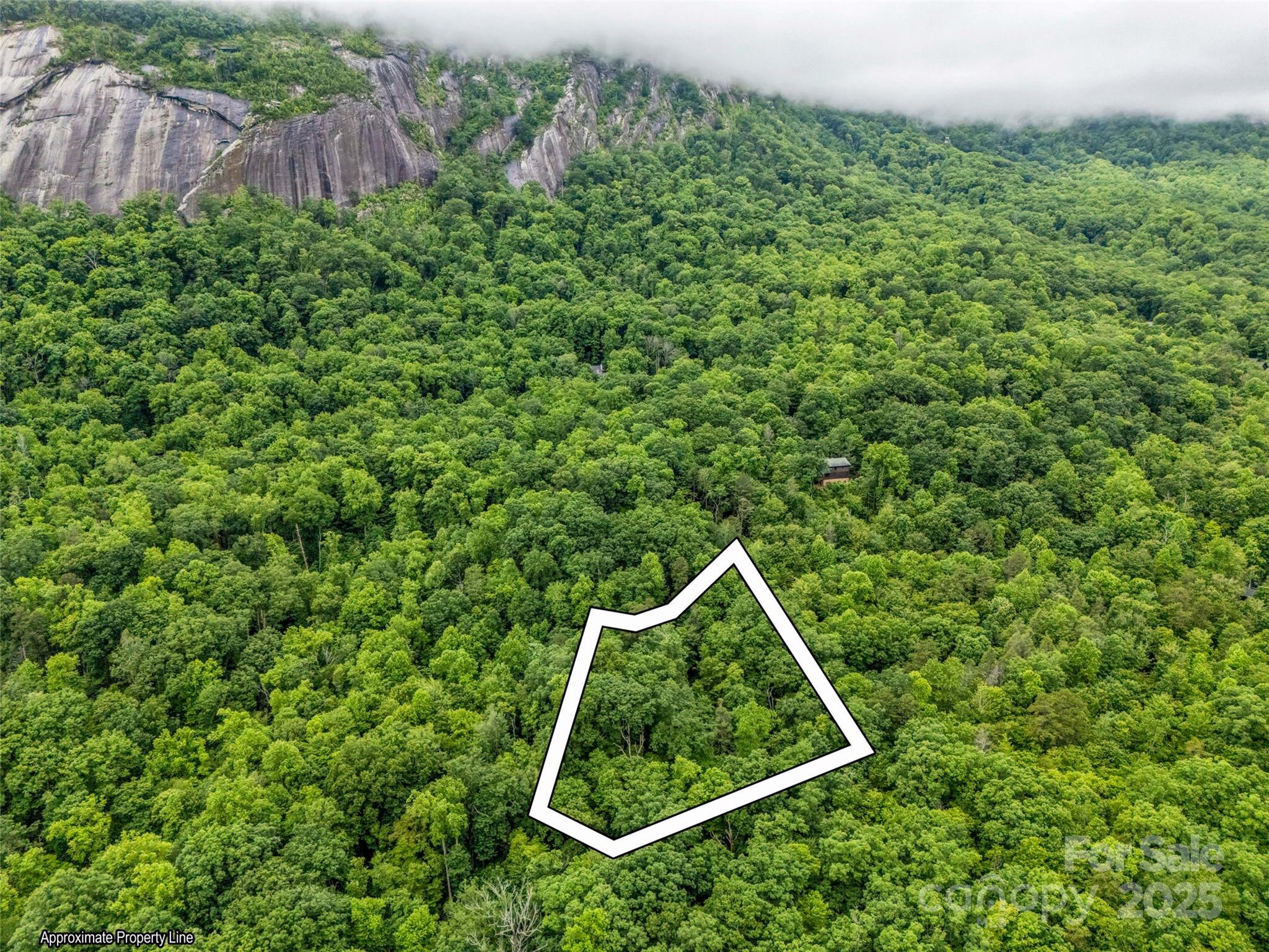 0 Quail Ridge Road Lake Lure NC 28746