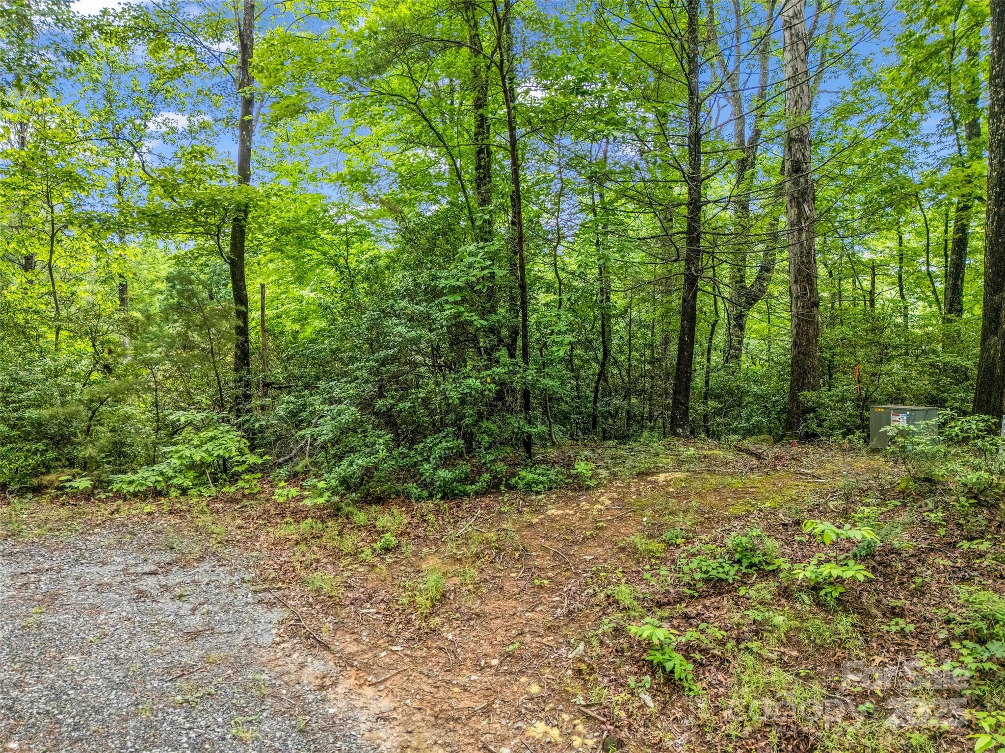 0 Quail Ridge Road Lake Lure NC 28746