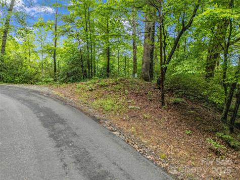 0 Quail Ridge Road Lake Lure NC 28746