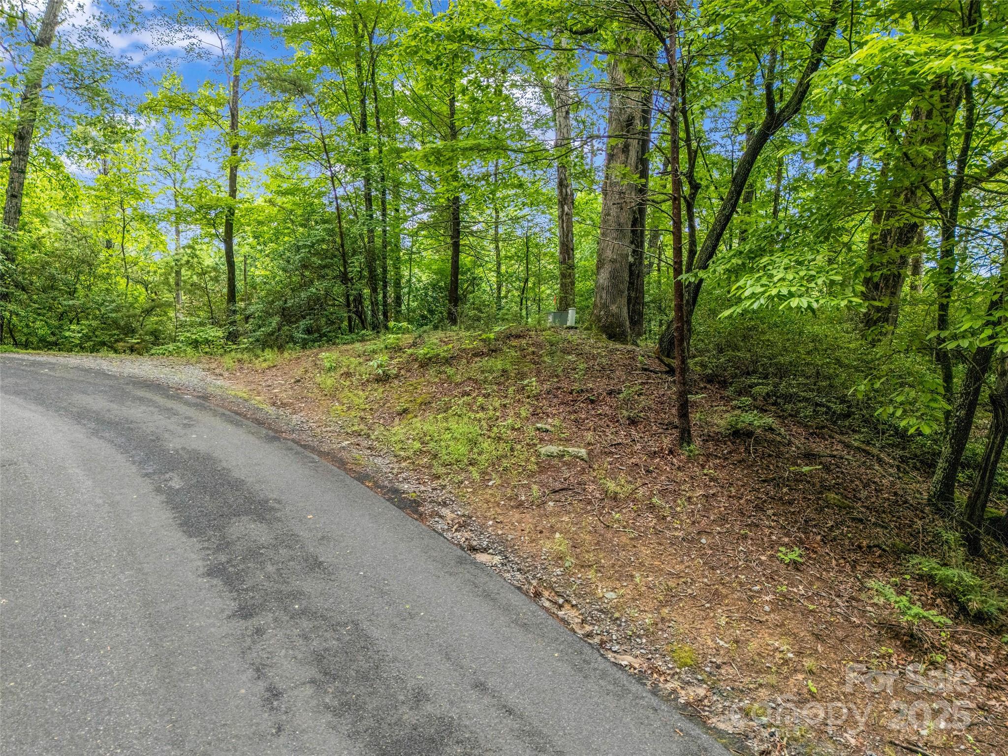 0 Quail Ridge Road Lake Lure NC 28746