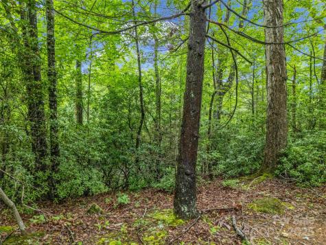 0 Quail Ridge Road Lake Lure NC 28746