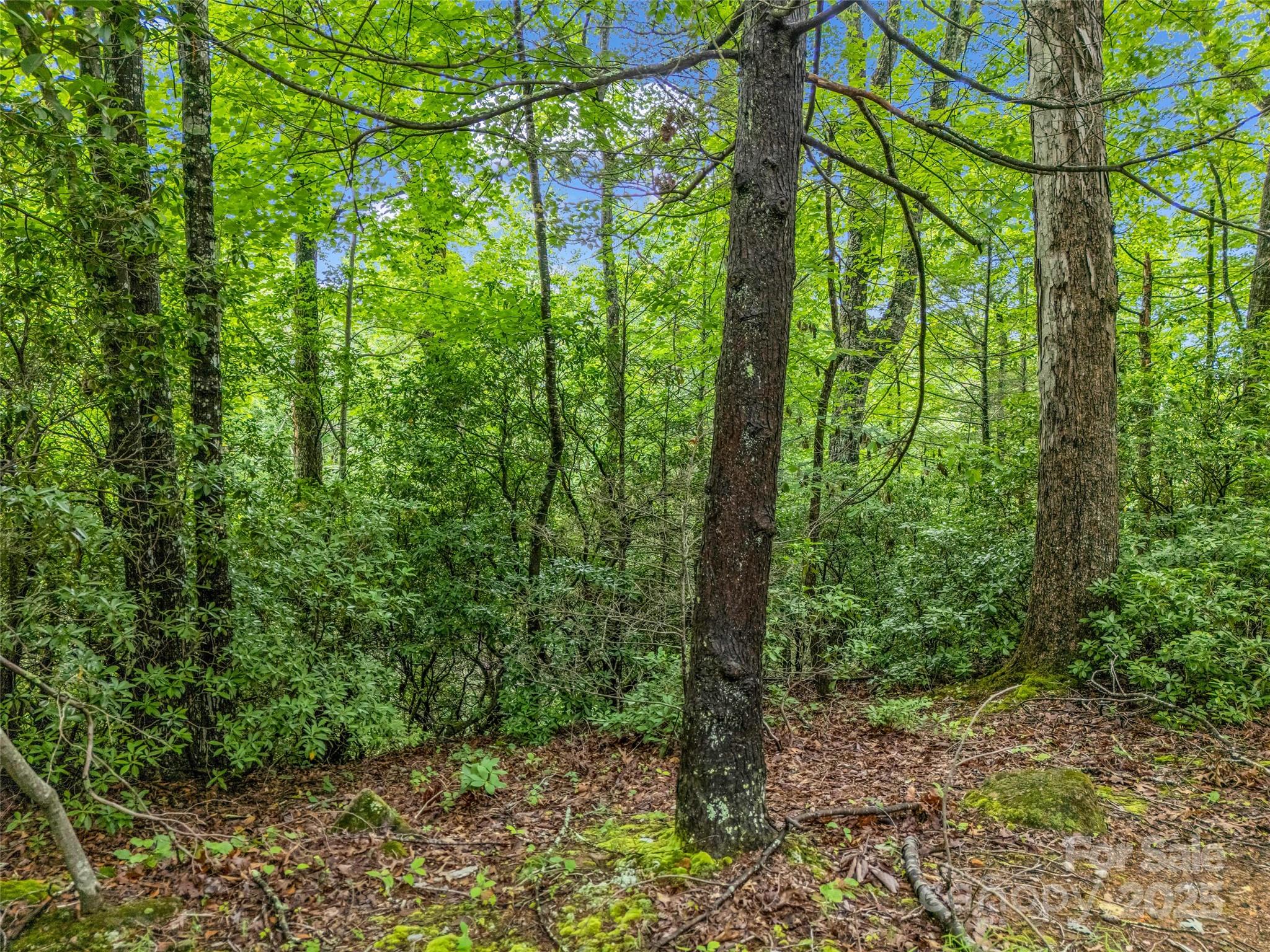 0 Quail Ridge Road Lake Lure NC 28746