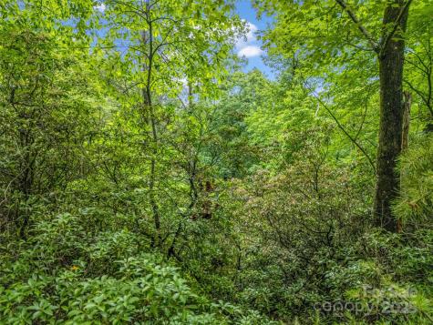 0 Quail Ridge Road Lake Lure NC 28746