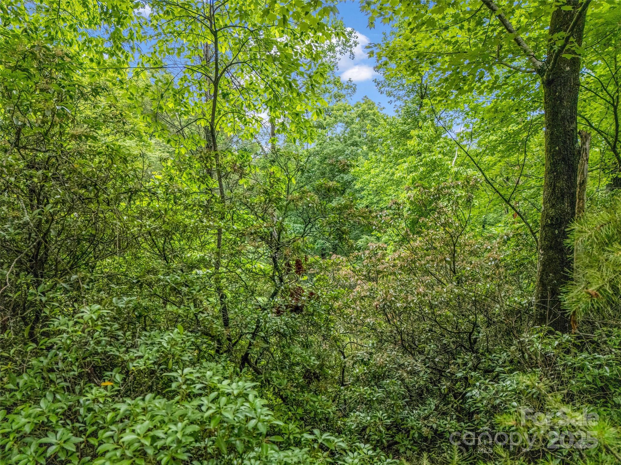 0 Quail Ridge Road Lake Lure NC 28746