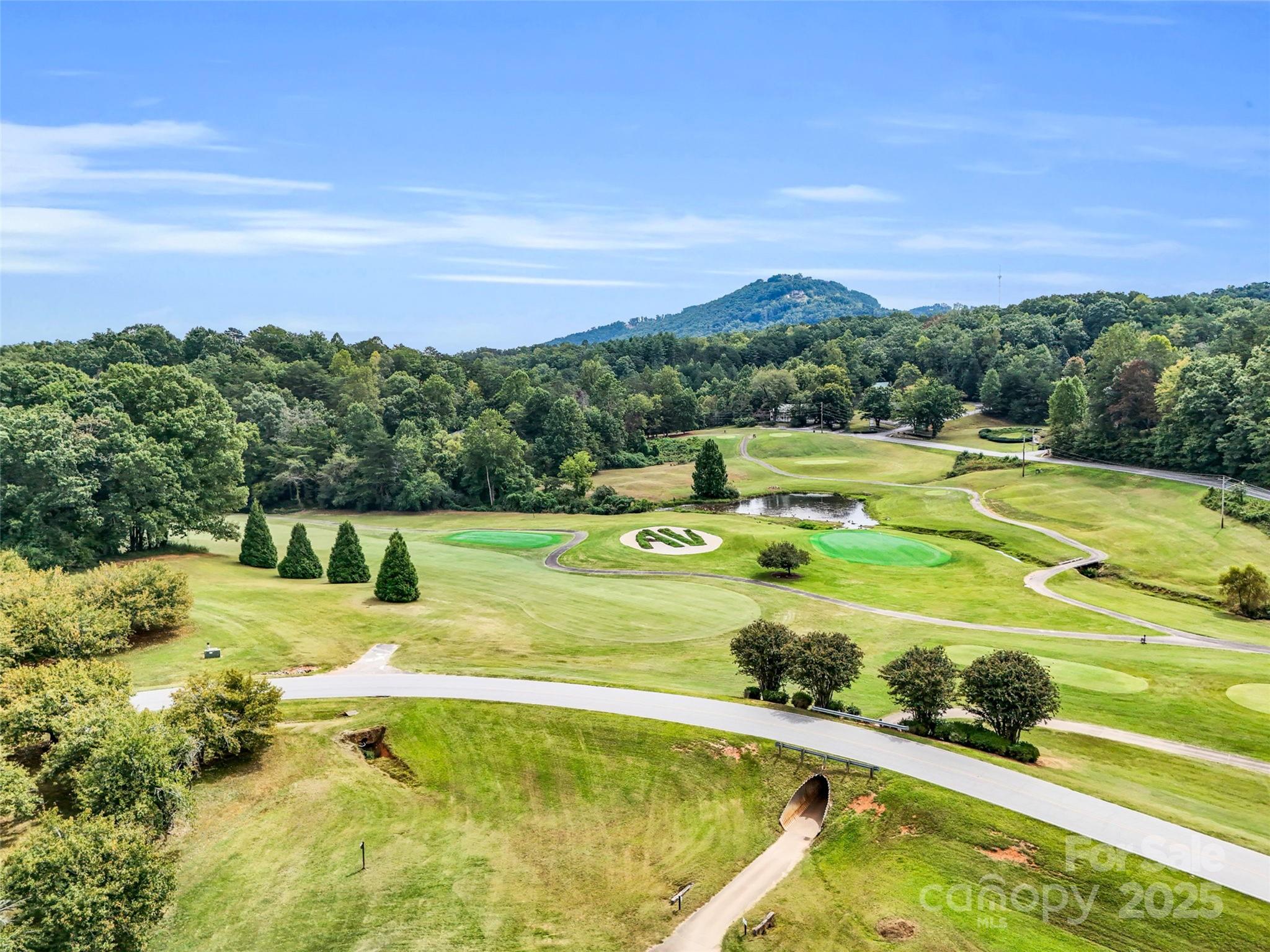 0 Quail Ridge Road Lake Lure NC 28746