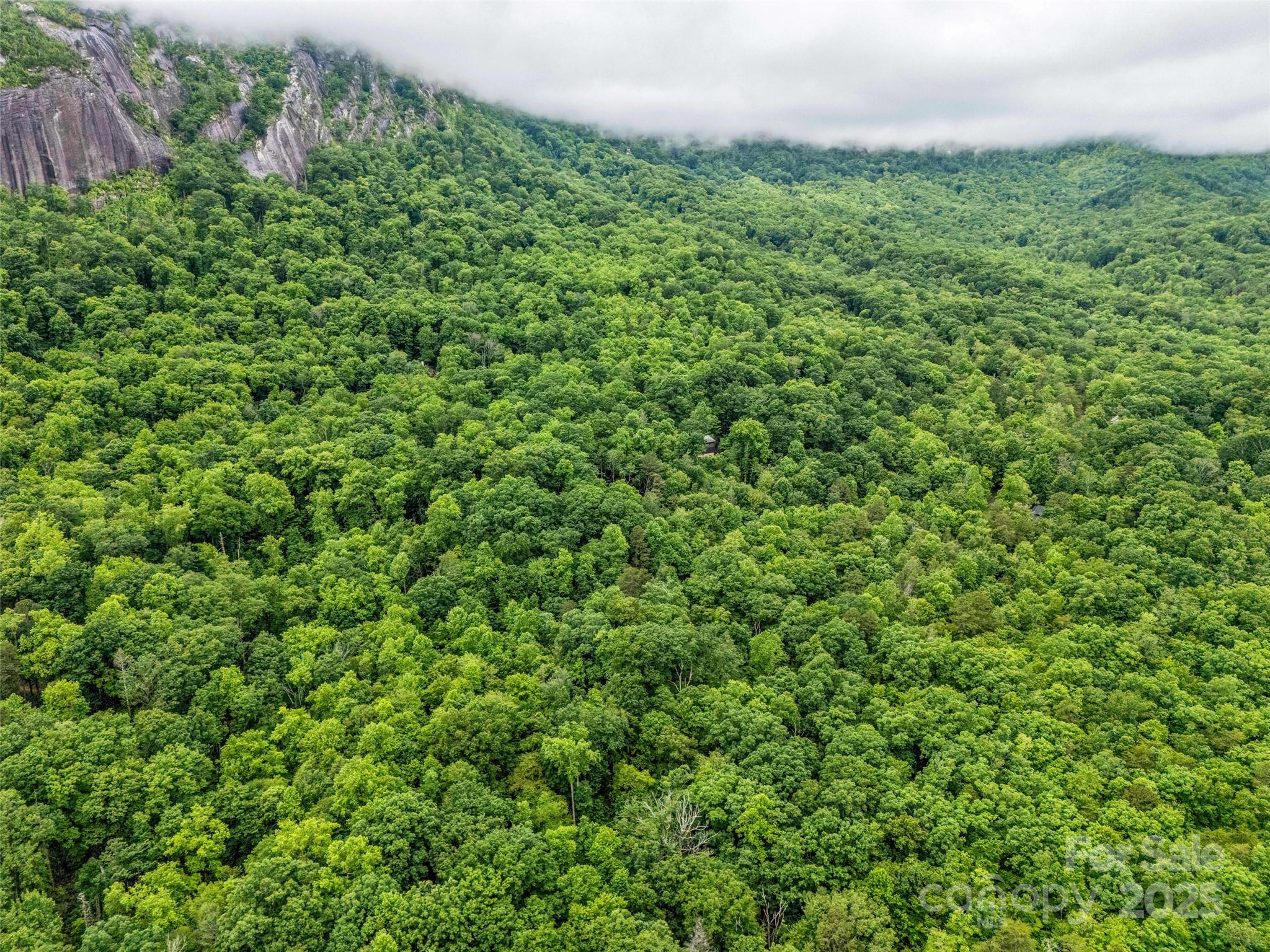 0 Quail Ridge Road Lake Lure NC 28746