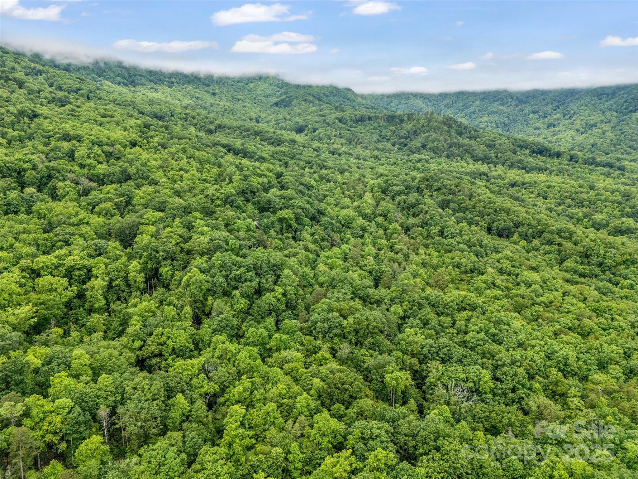 0 Quail Ridge Road Lake Lure NC 28746