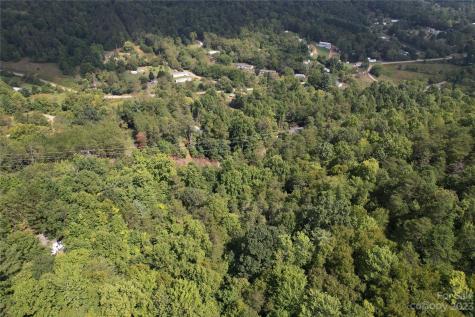 00000 Screech Owl Drive Candler NC 28715