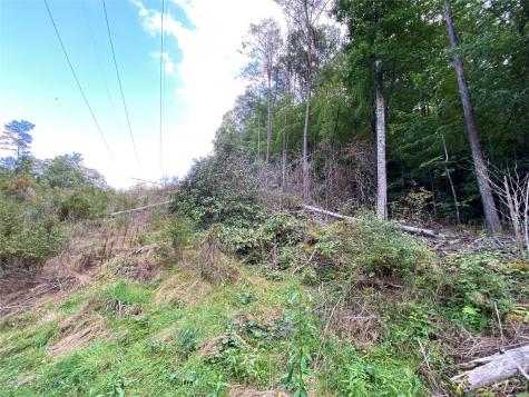 00000 Screech Owl Drive Candler NC 28715