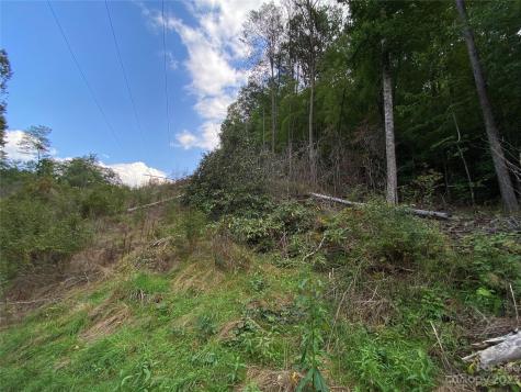 00000 Screech Owl Drive Candler NC 28715