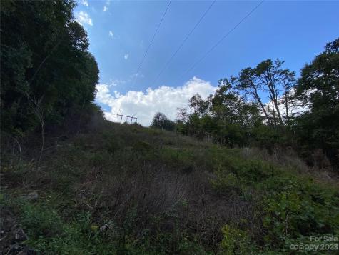 00000 Screech Owl Drive Candler NC 28715