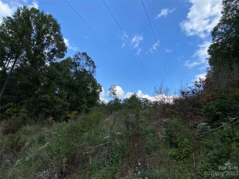 00000 Screech Owl Drive Candler NC 28715