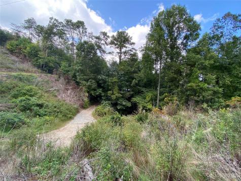 00000 Screech Owl Drive Candler NC 28715