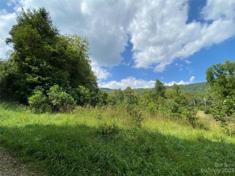 00000 Screech Owl Drive Candler NC 28715