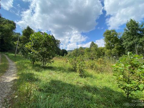 00000 Screech Owl Drive Candler NC 28715