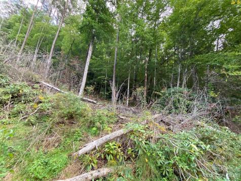 00000 Screech Owl Drive Candler NC 28715