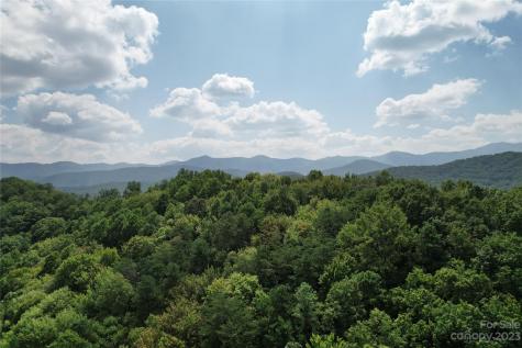 00000 Screech Owl Drive Candler NC 28715