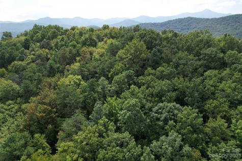 00000 Screech Owl Drive Candler NC 28715