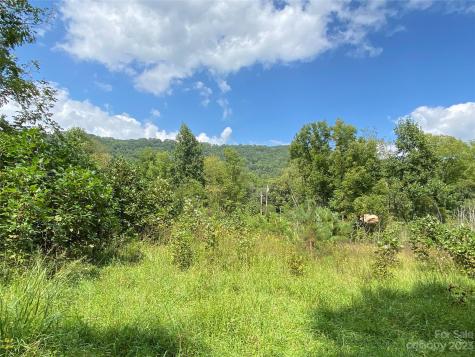 00000 Screech Owl Drive Candler NC 28715